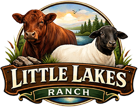 Grass Fed & Finished Beef | Little Lakes Ranch | Richfield Springs, NY Logo